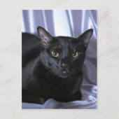 Carte Postale Bombay (Devant)