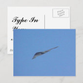 Carte Postale Bombe furtive (Devant / Derrière)