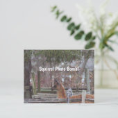 Carte postale Bombe Photo écureuil (Debout devant)