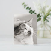 Carte Postale Bon chou ! -Carte postale (Debout devant)