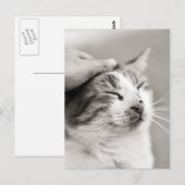 Carte Postale Bon chou ! -Carte postale (Devant / Derrière)