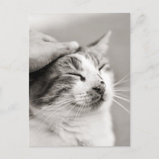 Carte Postale Bon chou ! -Carte postale (Devant)