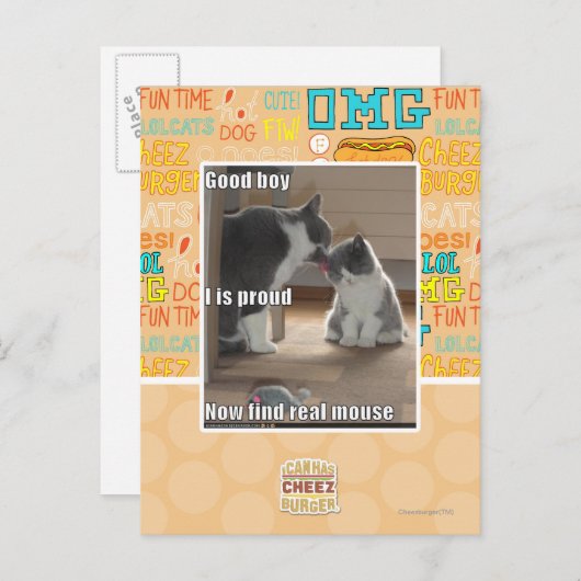 Carte Postale Bon garçon (Devant / Derrière)