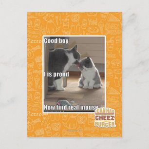 Carte Postale Bon garçon