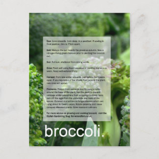 Carte Postale Bon guide de croissance : Brocoli et radis