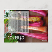 Carte Postale Bon guide de croissance : Citrouille & Chard (Dos)