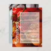 Carte Postale Bon guide de croissance : Tomates et ail (Devant / Derrière)