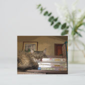 Carte postale bon livre (Debout devant)