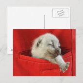 Carte Postale Bon matin (Devant / Derrière)