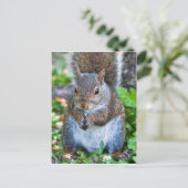 Carte Postale Bon Pour Le Dernier Bite (Debout devant)