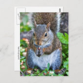 Carte Postale Bon Pour Le Dernier Bite (Devant / Derrière)