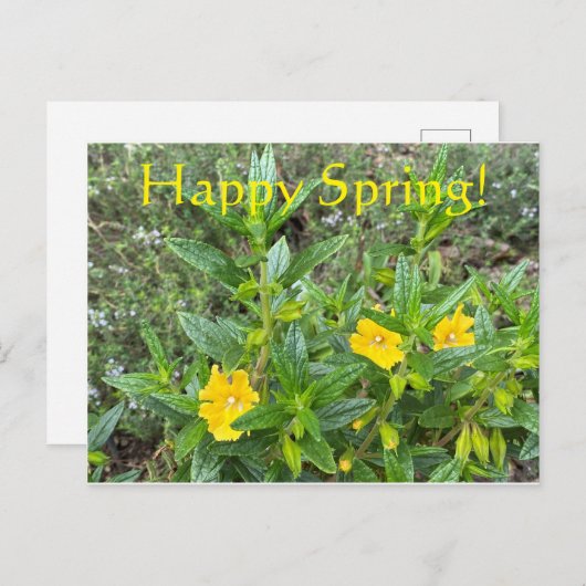 Carte Postale Bon Printemps ! (Devant / Derrière)