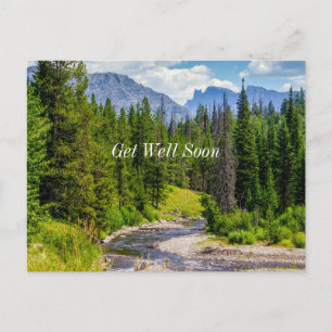 Carte postale "Bon rétablissement" de North Fork S