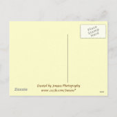 Carte postale bon thanksgiving (Dos)