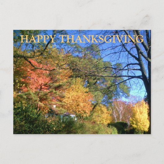 Carte postale bon thanksgiving FALL (Devant)