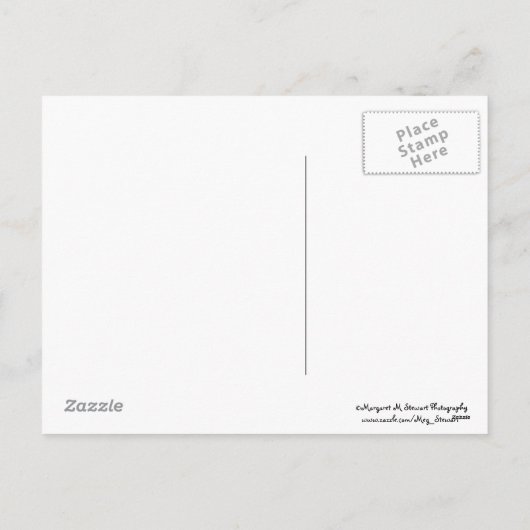 Carte postale bon thanksgiving Little Chipmunk (Dos)