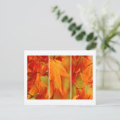 Carte postale Bon thanksgiving Trio Folio Automne (Debout devant)