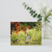 Carte Postale Bon thanksgiving Wild Turkey Fall Leaves (Debout devant)
