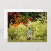 Carte Postale Bon thanksgiving Wild Turkey Fall Leaves (Devant / Derrière)