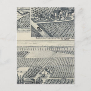 Carte Postale Bonacourt Ranch, Washington Colony, Californie