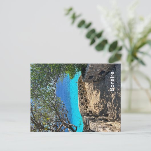 Carte postale Bonaire (Debout devant)