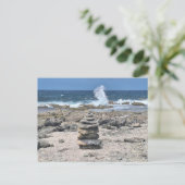 Carte Postale Bonaire (Debout devant)