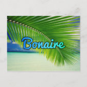 Carte Postale Bonaire (Devant)
