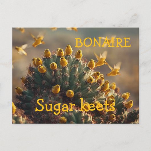 Carte Postale Bonaire sugarkeets (Devant)