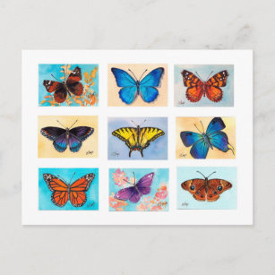Carte postale Bonanza Papillon