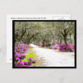 Carte postale - Bonaventure Azaleas (Devant / Derrière)