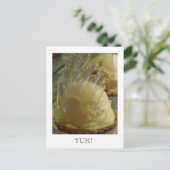 Carte Postale Bonbon pour les yeux (Debout devant)