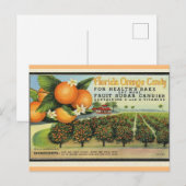 Carte Postale Bonbons Orange Floride (Devant / Derrière)