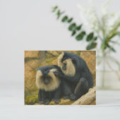 Carte Postale Bond Macaque - Rituel Grooming (Debout devant)