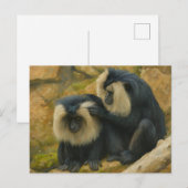 Carte Postale Bond Macaque - Rituel Grooming (Devant / Derrière)