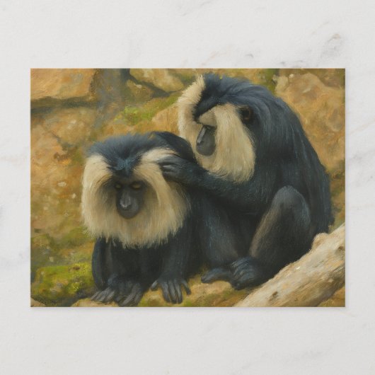 Carte Postale Bond Macaque - Rituel Grooming (Devant)