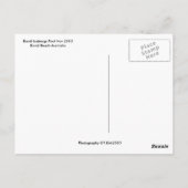 Carte Postale Bondi Icebergs à Bondi Beach (Dos)