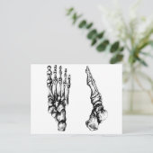 Carte Postale Bones of the human foor. (Debout devant)