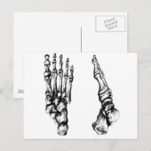 Carte Postale Bones of the human foor. (Devant / Derrière)
