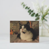 CARTE POSTALE BONGO (Debout devant)