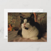 CARTE POSTALE BONGO (Devant / Derrière)