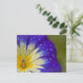 Carte Postale Bonheur (Debout devant)