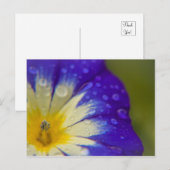 Carte Postale Bonheur (Devant / Derrière)