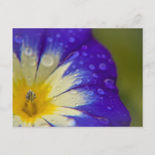 Carte Postale Bonheur (Devant)