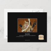 Carte Postale Bonheur (Devant / Derrière)