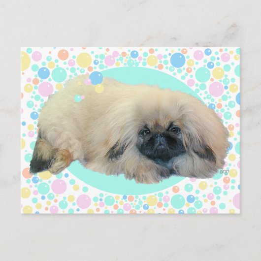 Carte Postale Bonheur de bulle de Pékinois (Devant)