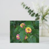 Carte postale Bonheur de demain (fleurs) (Debout devant)