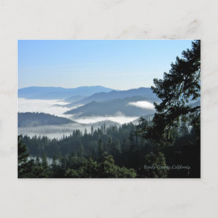 Carte Postale Bonheur du matin printanier...