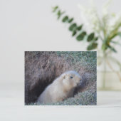 Carte Postale Bonjour (Debout devant)