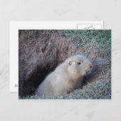 Carte Postale Bonjour (Devant / Derrière)