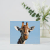 Carte Postale Bonjour, (Debout devant)